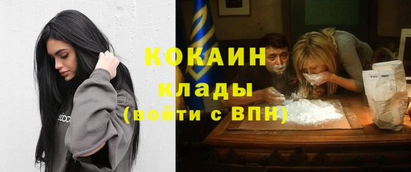 apvp Верея