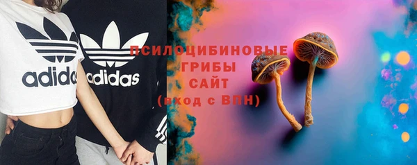 apvp Верея