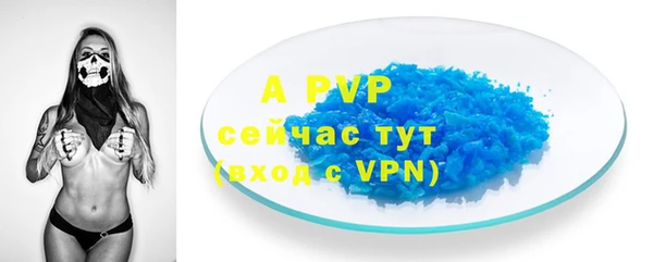 apvp Верея