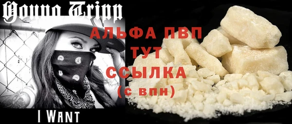 apvp Верея