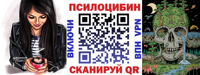 где купить наркоту  Камбарка  Галлюциногенные грибы прущие грибы 