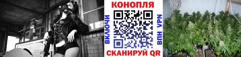 hydra tor  Камбарка  Бошки марихуана сатива  хочу наркоту 